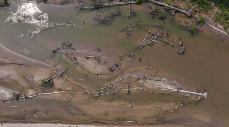 Acre enfrenta a maior seca da história