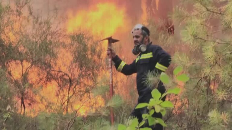 bombeiros-controlam-incendios-florestais-em-partes-da-turquia,-diz-ministro-|-cnn-brasil