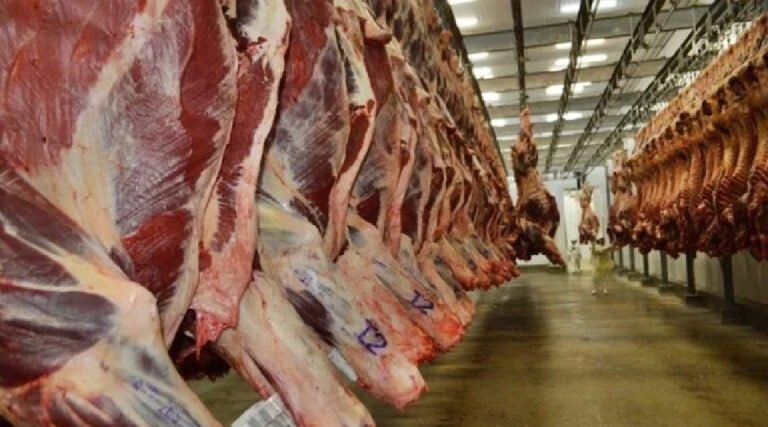 Acre recebe autorização do Governo Federal para importar carne bovina para o Canadá