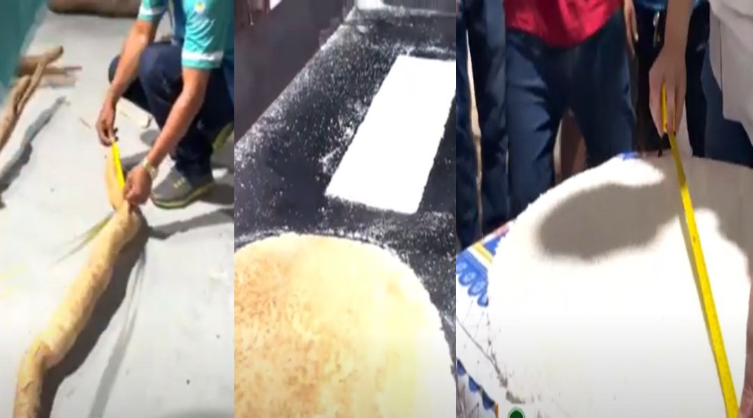 Novo Projeto - 2024-09-02T173514.618