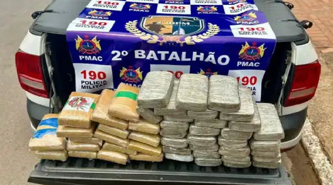 Novo Projeto - 2024-09-26T165613.017