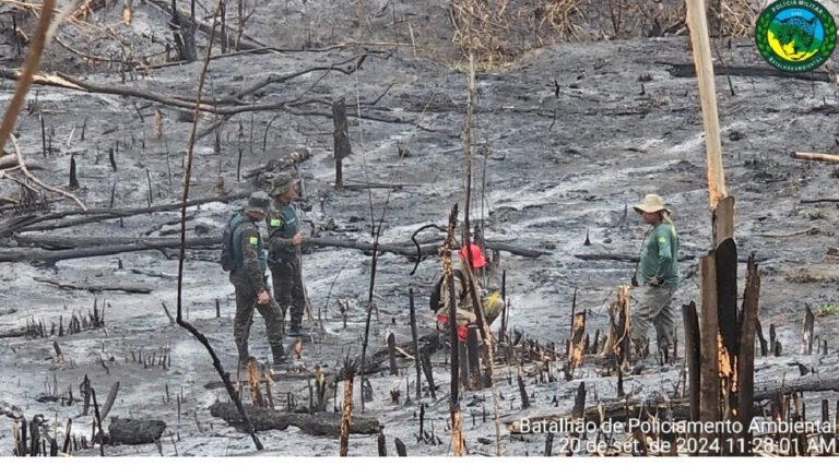 Governo divulga resultados de Operações Integradas contra o desmatamento