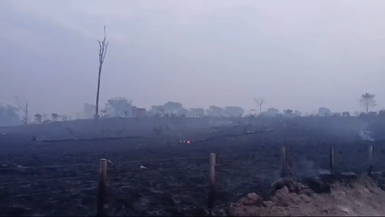 VÍDEO: incêndio destrói 12 propriedades na divisa com o Acre e moradores entram em pânico
