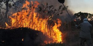 mpf-aciona-justica-para-contratacao-de-brigadistas-contra-incendios