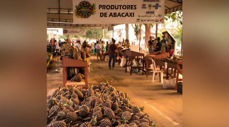 Com o apoio do Sebrae, XI Edição do Festival do abacaxi acontece em Tarauacá