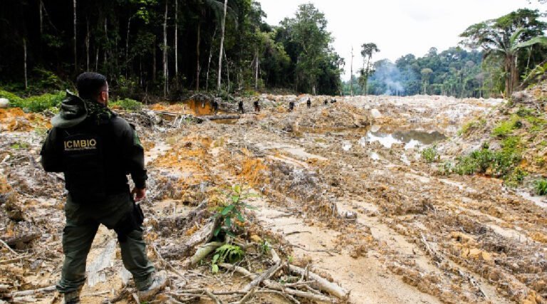 ICMBio divulga resultado final da análise curricular e convocação dos candidatos para entrevista em Cruzeiro do Sul