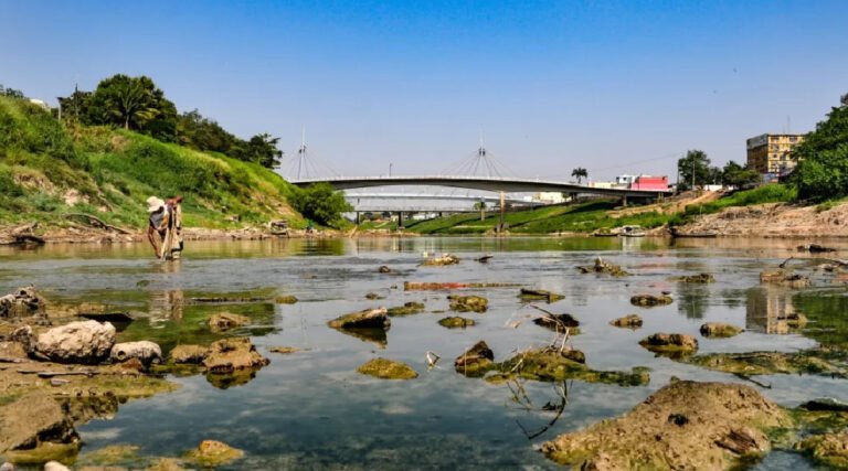 Acre permanece em situação de seca extrema, aponta boletim
