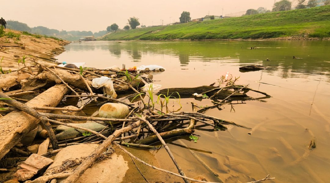 Novo Projeto - 2024-11-11T085136.317