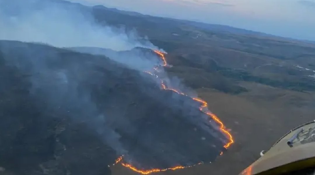 Novo Projeto - 2024-11-11T104801.608