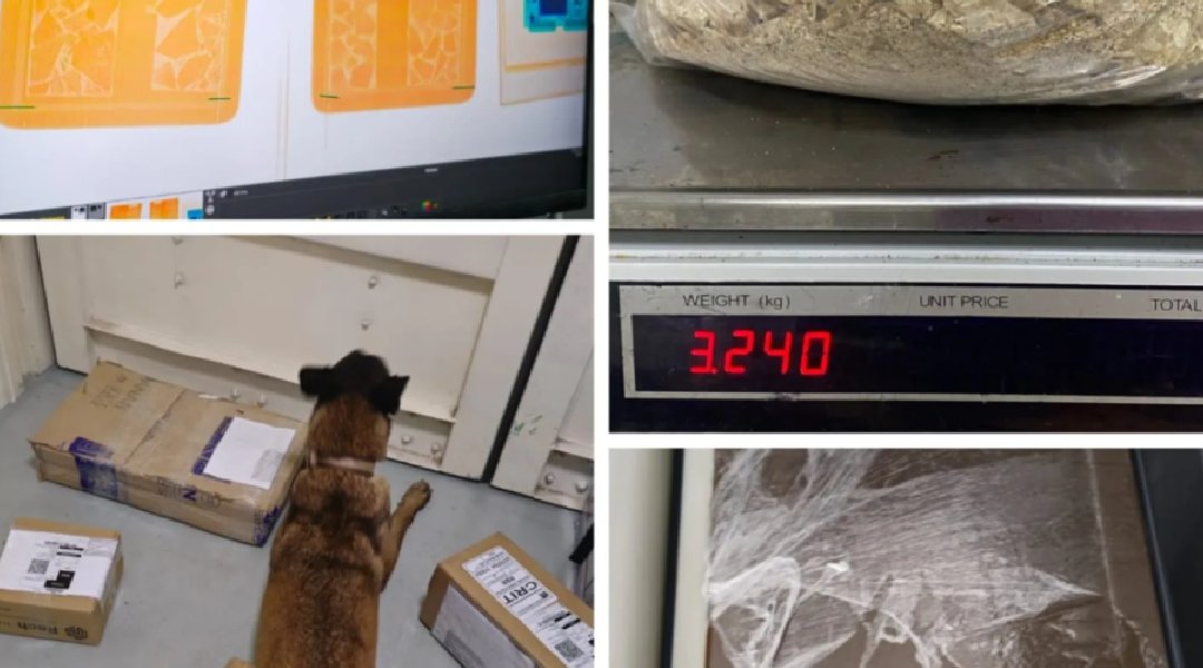 Novo Projeto - 2024-11-13T084042.072