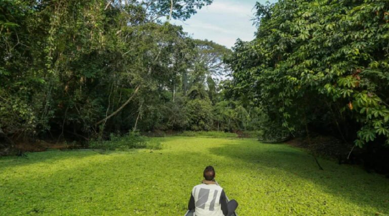 Acre propõe projetos de turismo regenerativo na comunidade Croa e Trilha Chico Mendes na COP 29