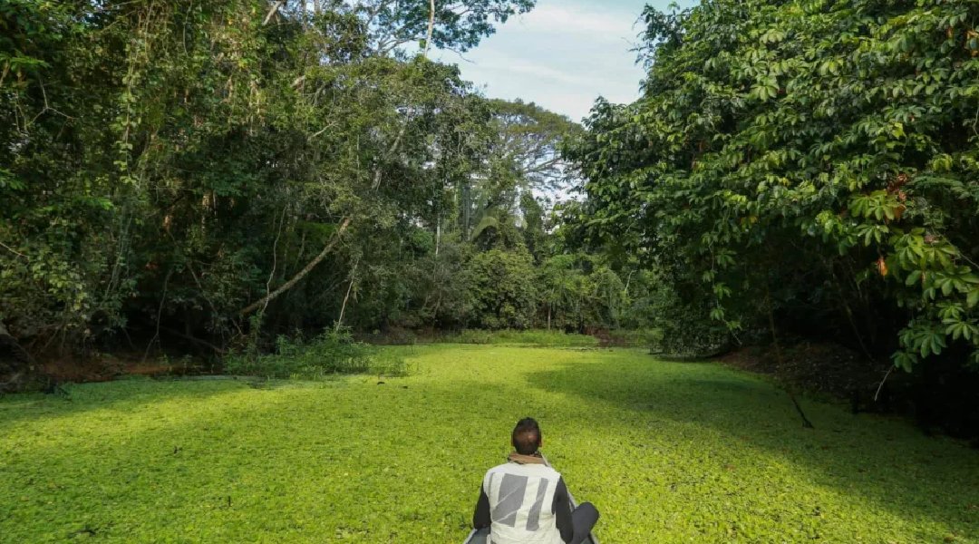 Novo Projeto - 2024-11-13T084330.326