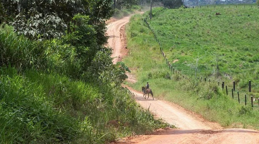 Novo Projeto - 2024-11-13T111359.127