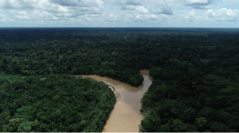 Gladson convoca 5ª Conferência Estadual do Meio Ambiente para 2025