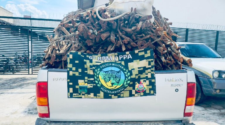 Operação do Batalhão Ambiental em Cruzeiro do Sul Apreende Madeira e Cipós Irregulares