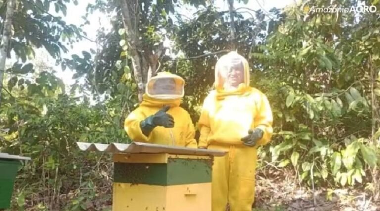 Produtores do Vale do Juruá recebem capacitação para produzir mel de alta qualidade