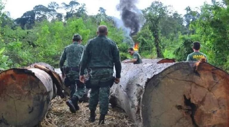 ICMBio abre processo seletivo simplificado com 9 vagas para o Acre; veja edital