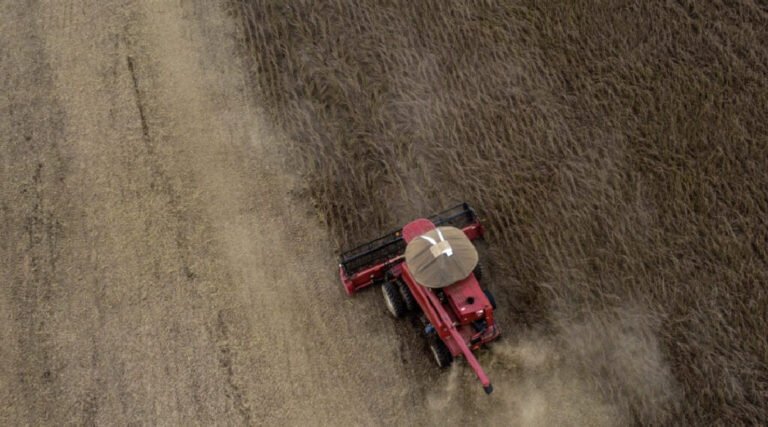 Acre ultrapassa a marca de R$ 3 bilhões em produção e se consolida como um forte polo de agronegócio do país