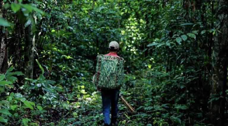Fórum no Acre discute benefícios ambientais com participação de povos indígenas