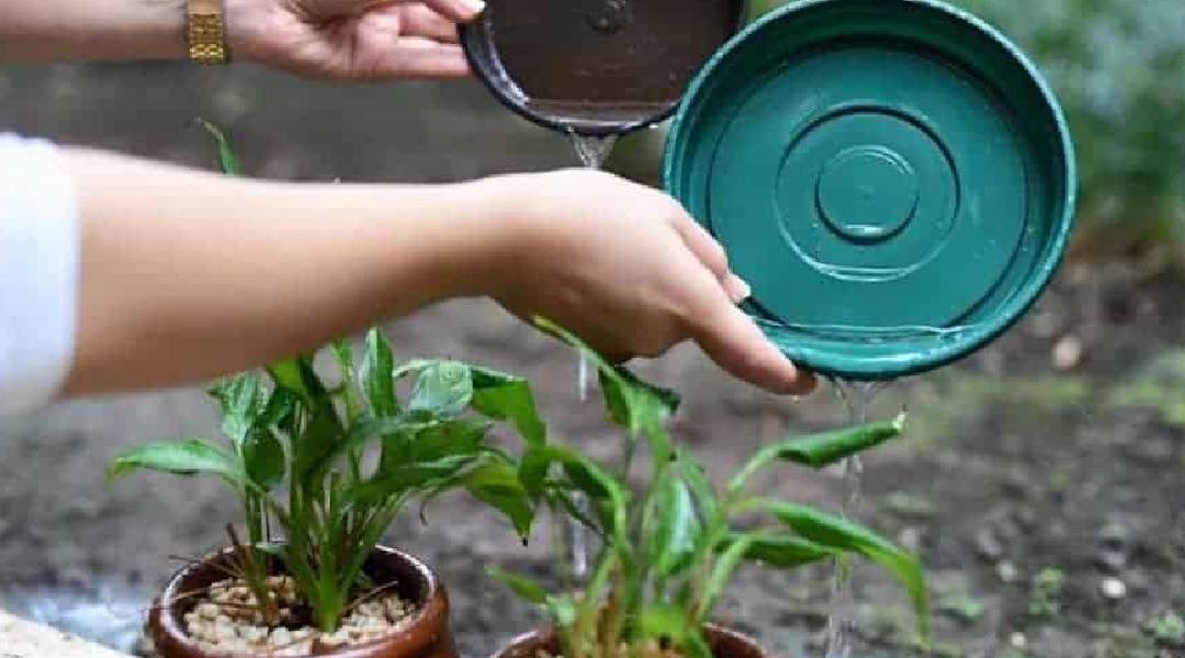 Novo Projeto - 2024-12-01T200704.156