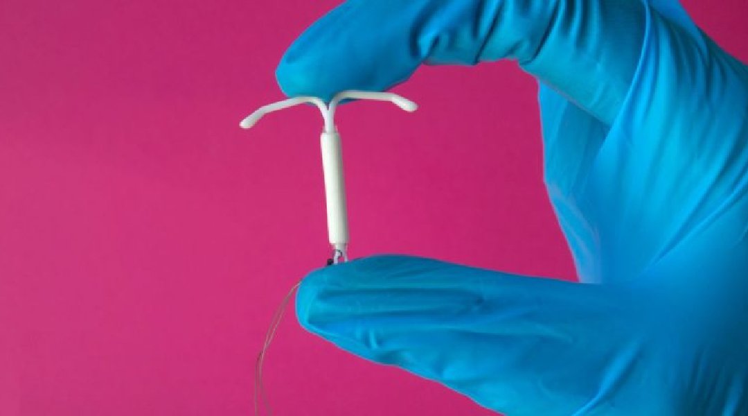 Novo Projeto - 2024-12-04T183131.975