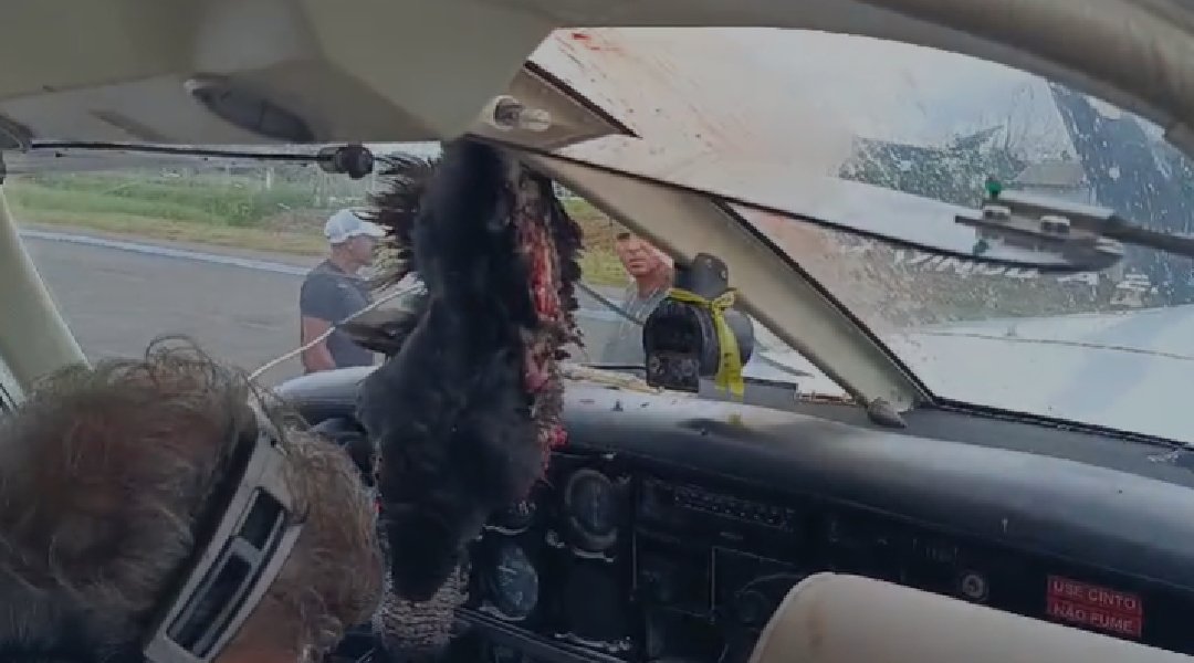 Novo Projeto - 2024-12-05T155928.617