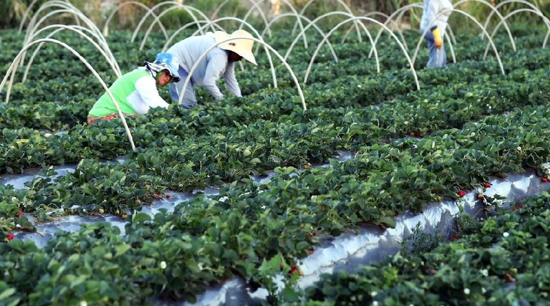 Novo Projeto - 2024-12-05T162110.513