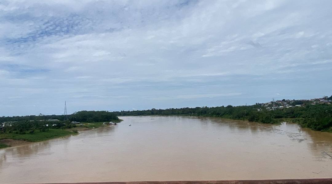 Novo Projeto - 2024-12-20T111254.874