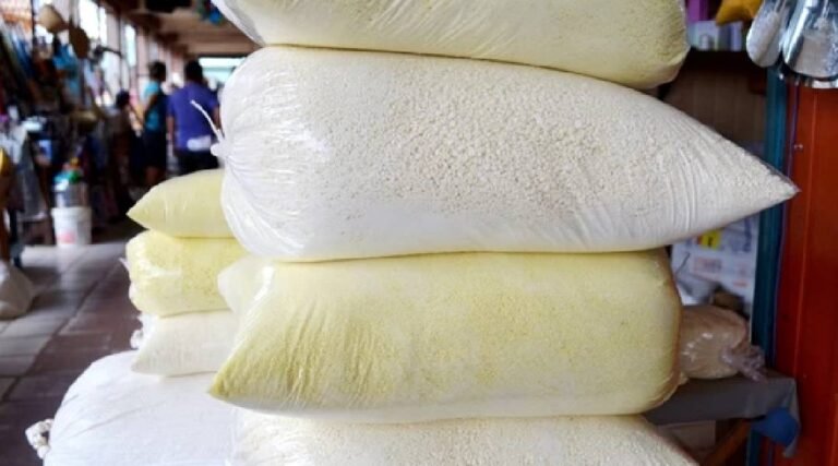 Cruzeiro do Sul é oficializada como a Capital Nacional da Farinha de Mandioca