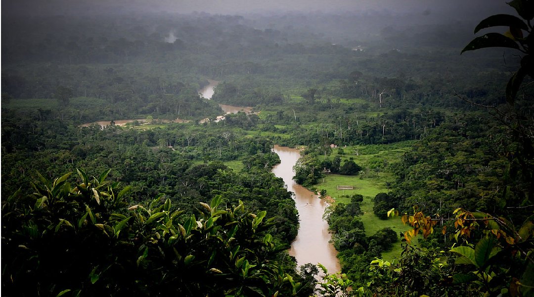 Novo Projeto - 2025-01-02T155456.468