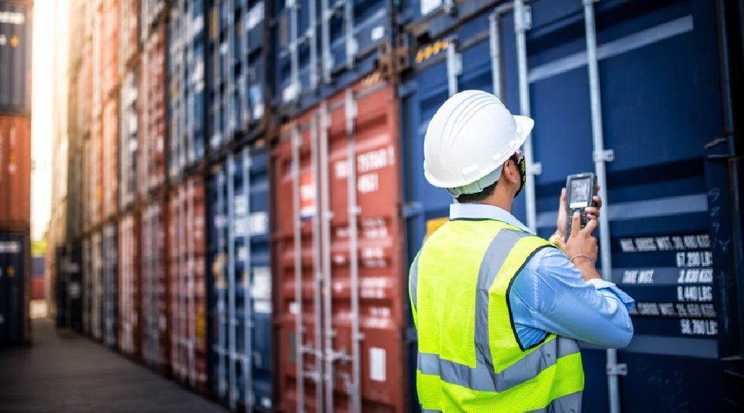 Novo Projeto - 2025-01-10T140809.041