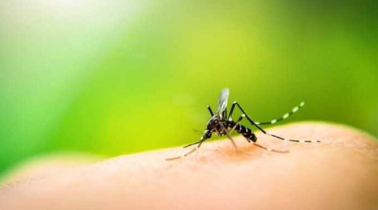 Prefeitura de Feijó decreta situação de emergência em saúde pública devido à epidemia de dengue