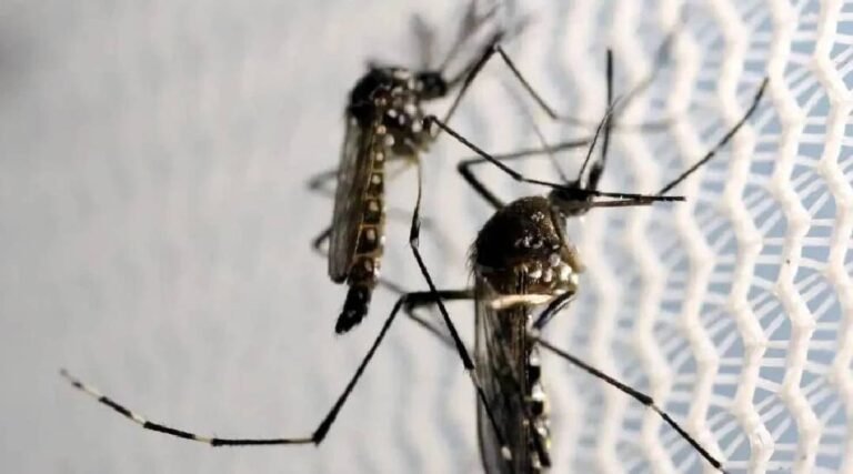 Feijó declara situação de emergência devido à epidemia de dengue