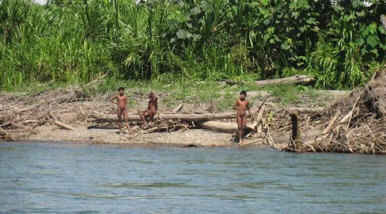 Funai impõe restrição de acesso à terra indígena para proteger povos isolados no Acre