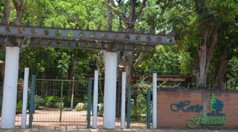 Após tentativa de estupro, prefeitura vai aumentar monitoramento por câmeras nas trilhas do Horto