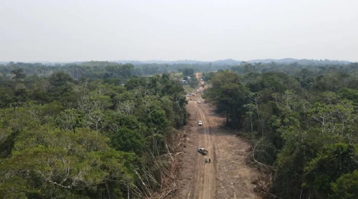 Novo Projeto - 2025-02-03T171605.831