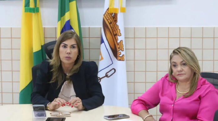 Novo Projeto - 2025-02-07T140659.129