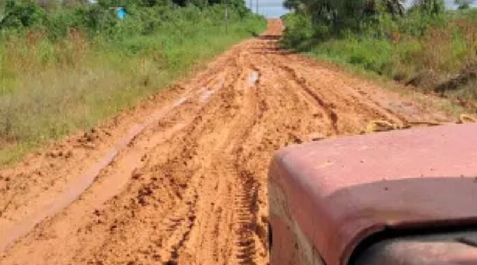 Novo Projeto - 2025-02-16T200213.574