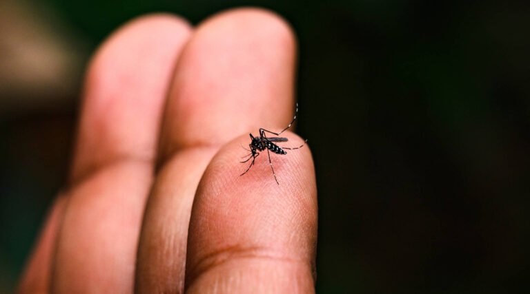 Acre se destaca na mobilização “Escolas Livres da Dengue” para combater arboviroses