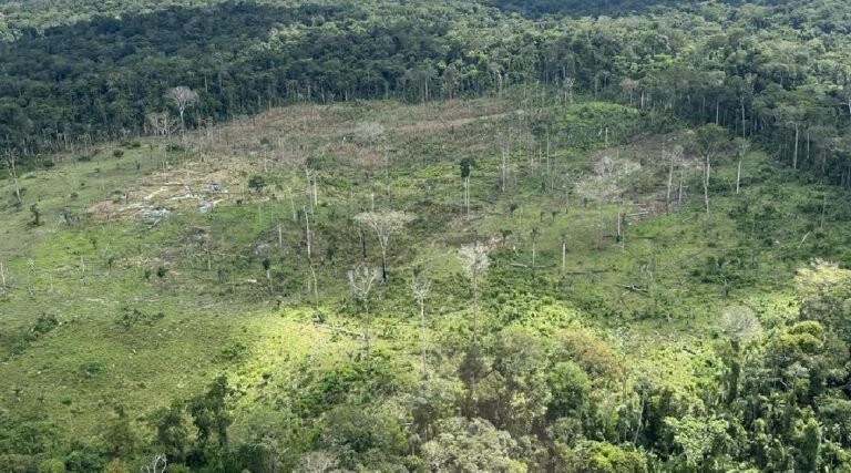 Em apenas 72 Horas da Operação Contenção Verde, 50% das áreas com alertas de desmatamento são identificadas