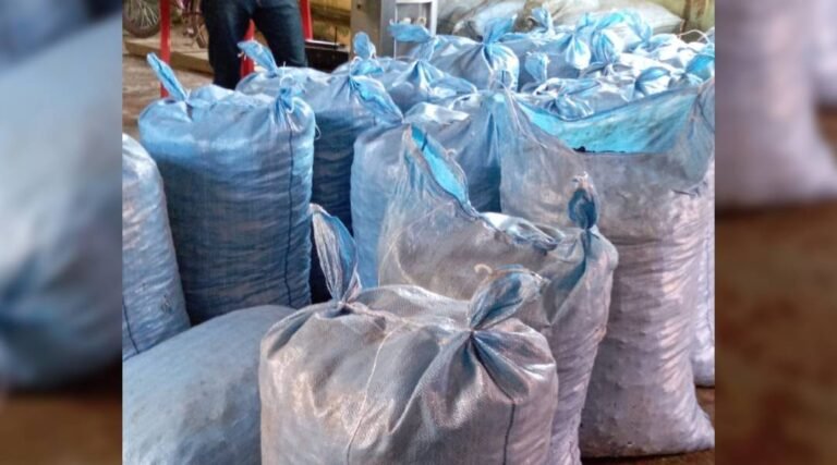 Concorrência provoca aumento no preço da lata da castanha, que chega a R$ 120 no interior