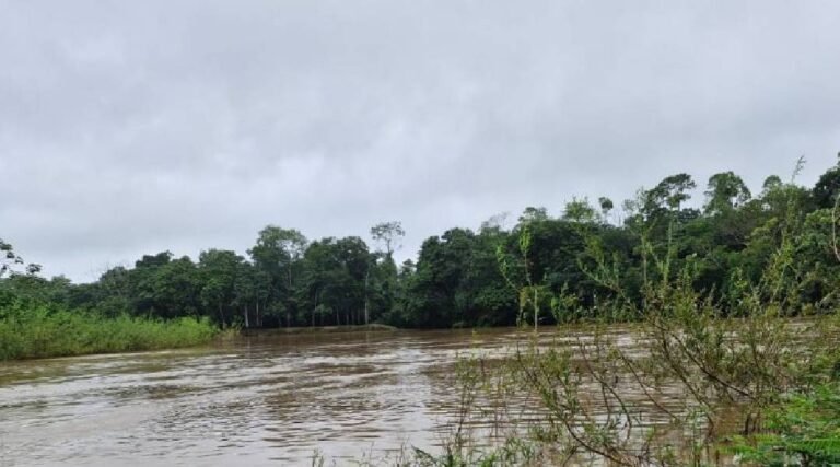 Rio Môa atinge cota de alerta em Mâncio Lima, e Defesa Civil monitora situação