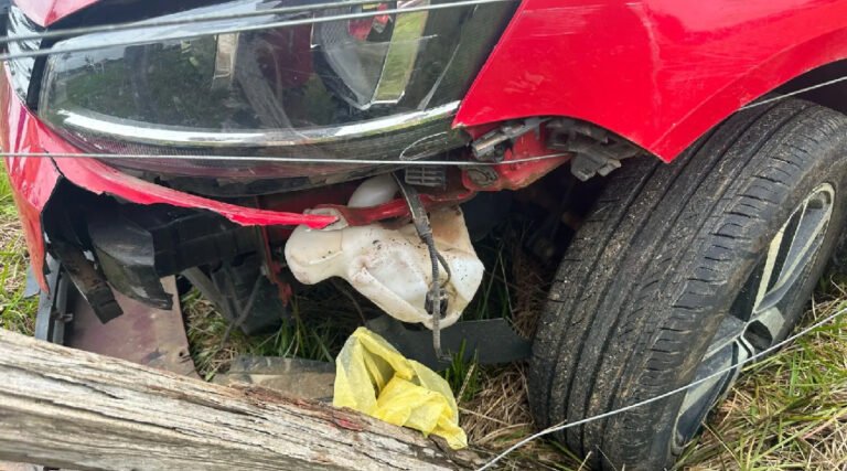 Veículo colide com animal solto na pista no Pé da Terra em Mâncio Lima