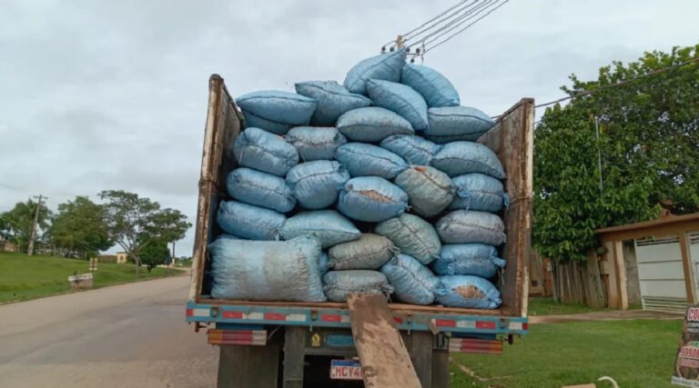 Preço da lata da castanha sobe para R$ 180 no interior do Acre