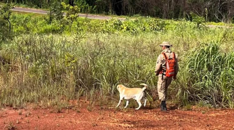 Em apenas 3 meses, sete pessoas desapareceram em área de mata no Vale do Juruá