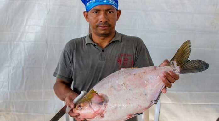 Novo Projeto - 2025-03-21T163807.554