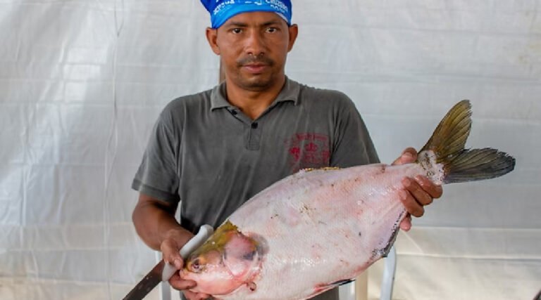 Feira do Peixe em Cruzeiro do Sul promete movimentar a economia local durante a Semana Santa