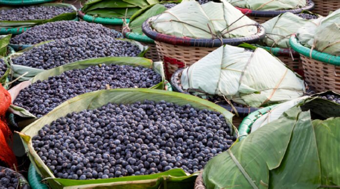 Novo Projeto - 2025-03-25T160023.655