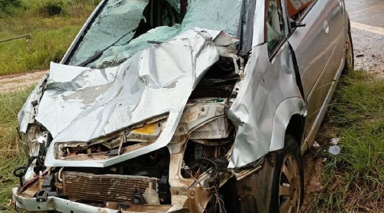 Livramento: Carro bate em boi na BR-364 e passageiros escapam com ferimentos leves