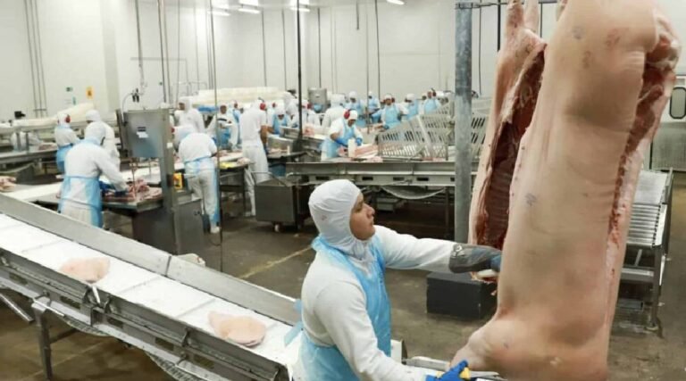 Guerra comercial de Trump pode favorecer Acre a exportar carne suína para o México